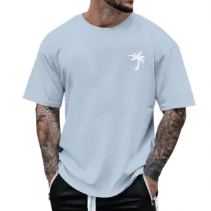 Alalaso Mens T-Shirts Short Sleeve Crew Neck Shirts Casual Loose Fit Tops Athletic Quick Dry Active Tee Shirts for Men