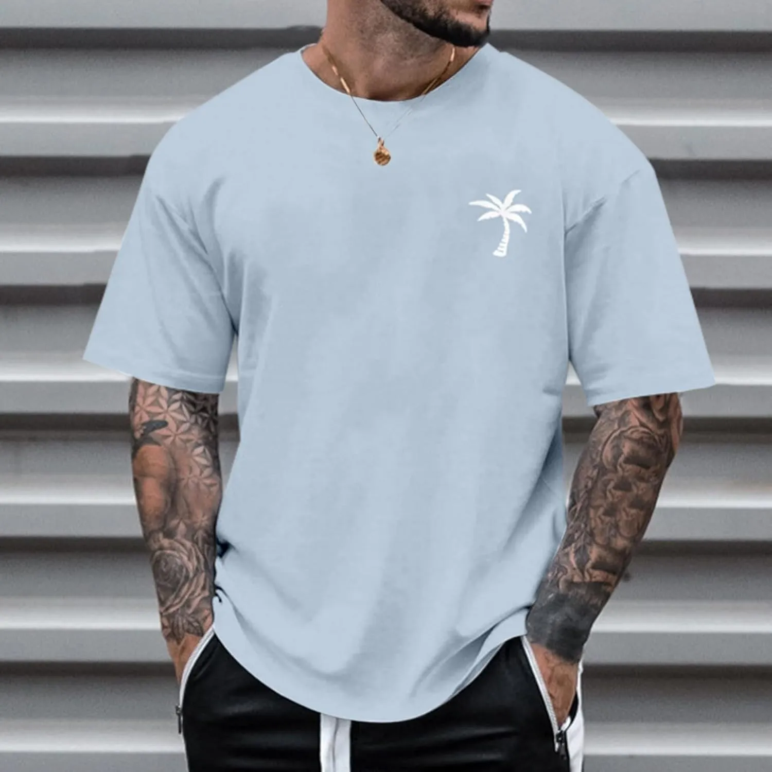 Alalaso Mens T-Shirts Short Sleeve Crew Neck Shirts Casual Loose Fit Tops Athletic Quick Dry Active Tee Shirts for Men