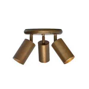 Evanston brass 3-spotlight | antique brass